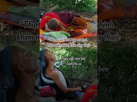 Tình Thầy Trò và sự kham nhẫn #thichminhtue #shortvideo
