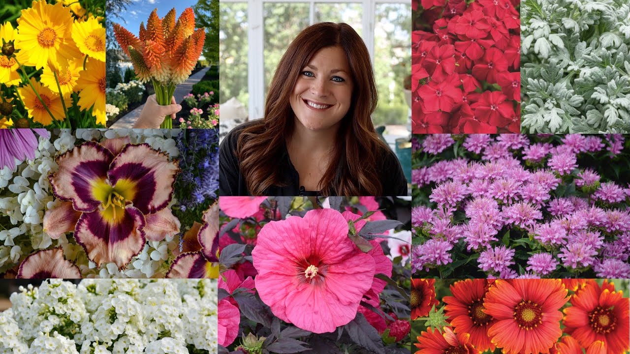 15 Perennials that Love the Heat!