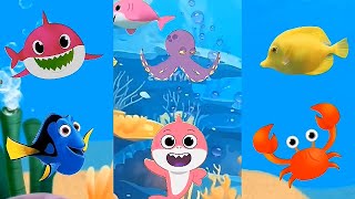 Baby Shark doo doo doo kids Song | Dolphin octopus colors fish Animals Sea