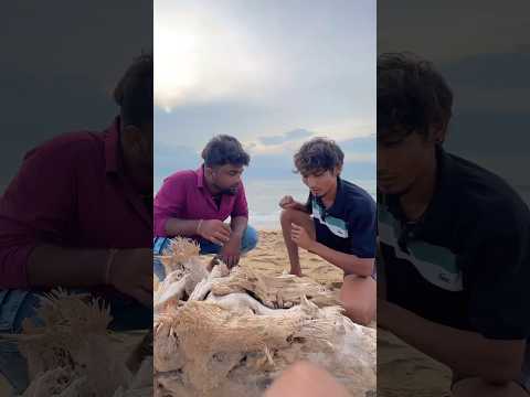 🌀🌀திமிங்கல எலும்பா😲 | whale bone? | #shorts #youtubeshorts #sea