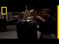 Pelvic Strike Impact and Mechanics
