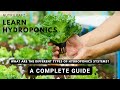 Hydroponic Systems and Techniques