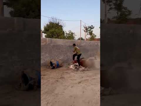 #horse #sajaungalutkarbhiterebadankida