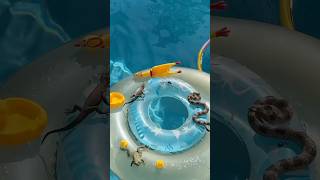 ELE RESGATOU O SAPO DA PISCINA