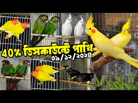 ৪০% ডিসকাউন্টে পাখি | ২৪ সালের সেরা অফার | কনুর, ককাটেল , লাভবার্ড ও ময়না পাখিতে অফার চলবে। 9 Dec 24