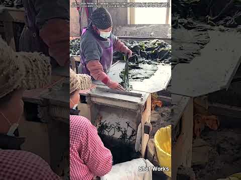 고품질 식자재 생산을 위한 다시마 절단 및 가공 프로세스 #worker #<strong>process</strong> #seafood #<strong>food</strong> #processing