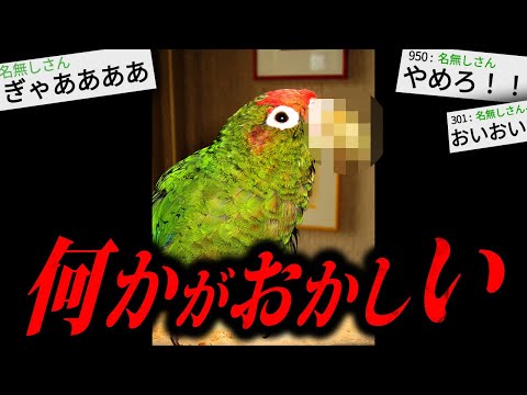 【あかん】あまりにも不気味な怖すぎる話「変なインコ」