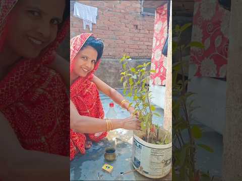 लहर लहर लहराए रे ##bhaktibhajan@keshavshashivlogs@Ajaykhushimishra6644@Shalinivlogs990