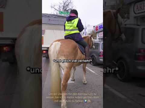 ๐ซถ๐ป๐ Ein Zeichen gegen die Klimakrise: statt mit Auto bin ich mit Pferd in die Arbeit gekommen.