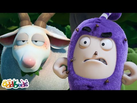 Creepy Itchy Crawlies 🕷 | ODDBODS 😂 | Funny Cartoons for Kids