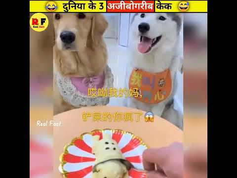 3 अजीबोगरीब केक 🤯 || #shorts #hindi @MRINDIANHACKER @CrazyXYZ @realfact_official