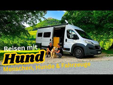 Hund im Wohnmobil? Raffinierte Fahrzeuge für entspannte Hunde!