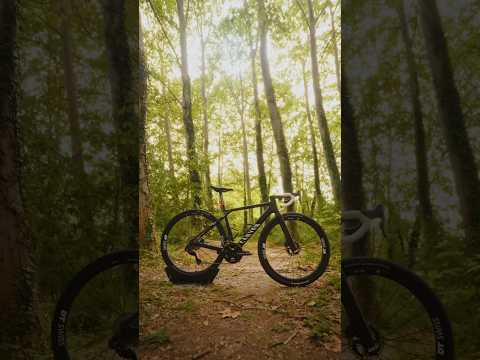 The Grail CFR in its element 🍃✨