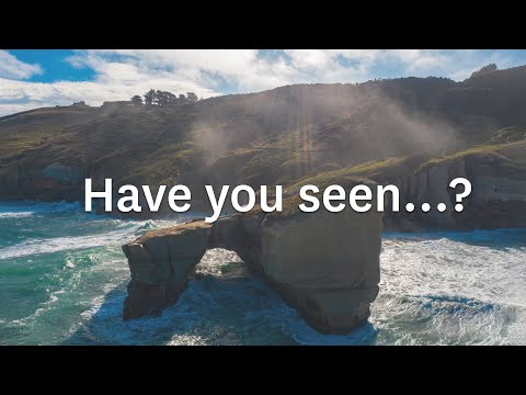 Have you seen these unexpected Places in New Zealand?