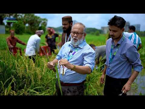 Critical message for our Boro rice farmers