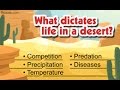 Desert Ecosystem Dynamics and Challenges