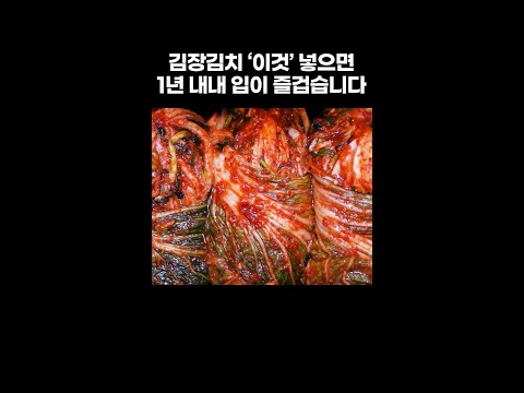 김장김치 '이것' 넣으면 1년 내내 밥상이 즐겁습니다. 김장김치 맛있게 담그는법