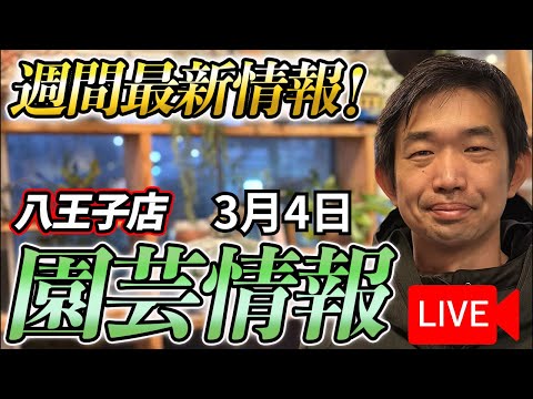 【最新情報】3月4日 グリーンギャラリーガーデンズ入荷情報を一挙公開！