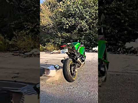 Kawasaki Ninja 1000 Crash💥Bike 🏍️🥺🤕@aalyanvlogs1299 #motivation #bike #crash #rider #bikelover