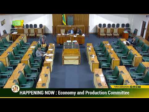 Economy and Production Committee :  December 5, 2024