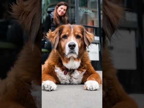 Do you see Toller in Toby?