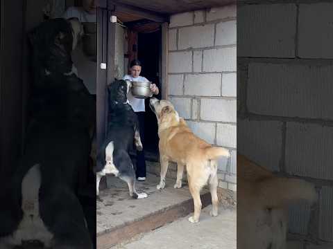 ГЛАВНАЯ НА РАЗДАЧЕ 😂🔥👌