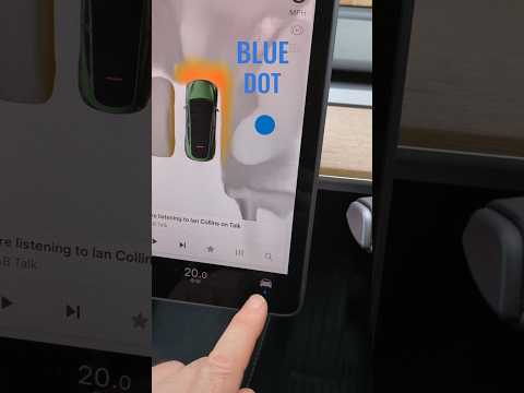 What the BLUE DOT means in a Tesla (plus OTA update 2025.2.8 changes)