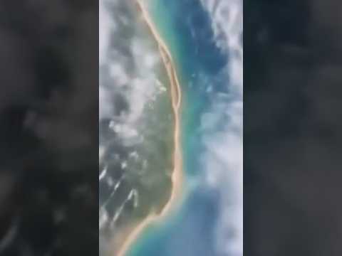 😍😍😍 AI Creates Living Art From My Photo #art #ai #aiart #shorts