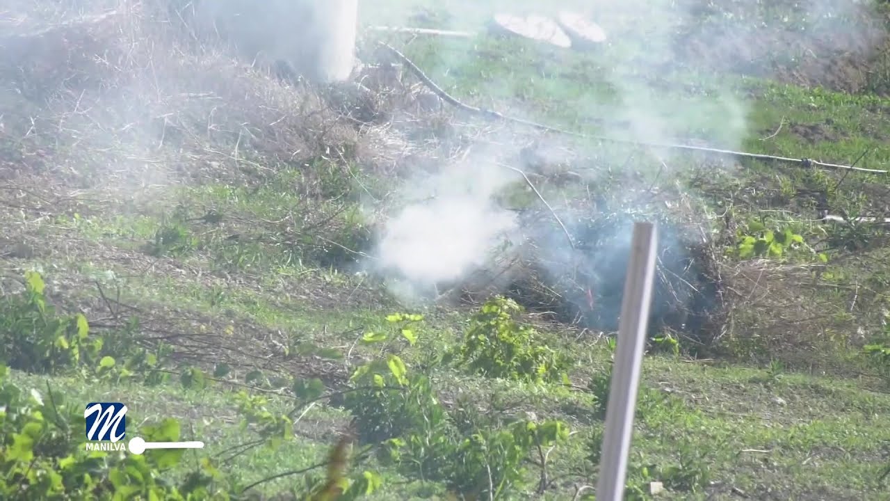 Queda prohibida la quema de todo tipo de residuos forestales
