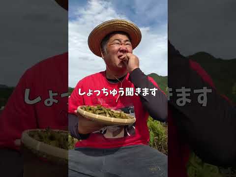 農家ビジネスプレゼン内容決定 その結果はいかに!