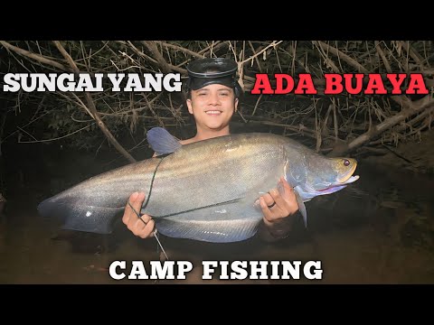 Campingg fishing 2 hari hujan deras di sungai yang ada buaya Camp adventure