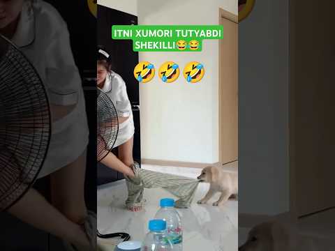 KANALGA OBUNA BO'LISHNI UNUTMANG