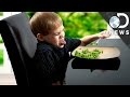 Understanding Taste and Food Preferences