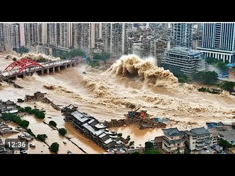 في سينايا- براهوفا رومانيا تضررت عدد كبير من السيارات بعد سقوط الاشجار جراء عاصفة شديدة ضربت المنطقة
