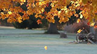 Some stuff I've been working on