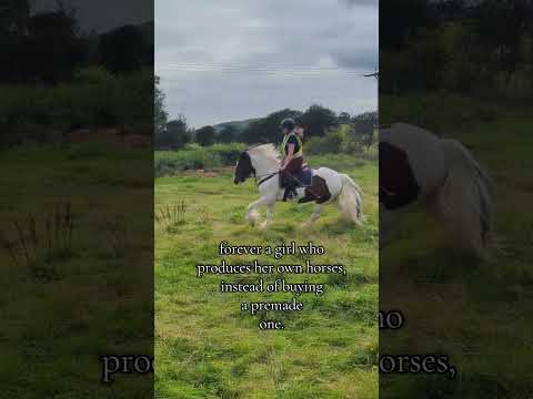 fact #horse #horses #equestrian #equine #equestrians #horseriding #horsegirl #horsegirls #pony