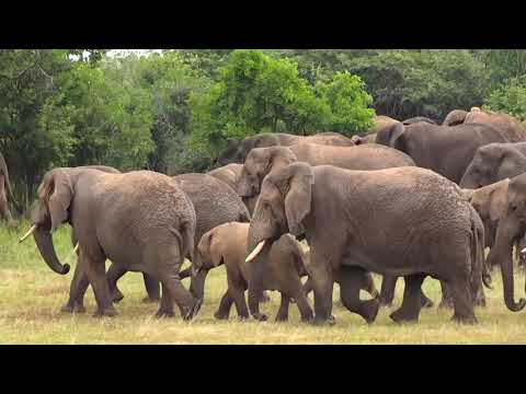 Experience Rwanda
