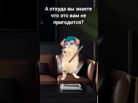 это кот умеет продавать 🤣😅 #ютуб #cat #актив #мемасики