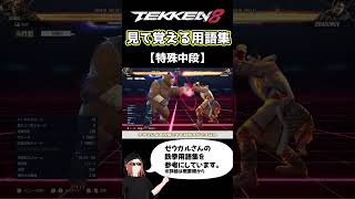 【鉄拳8】見て覚える用語集【特殊中段】