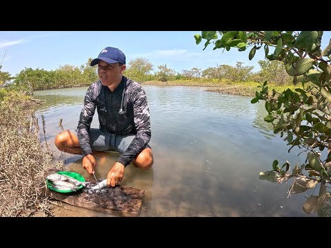 PEIXE FRITO, VINAGRETE E FAROFA - PESQUEI E COMI ( CATCH AND COOK )