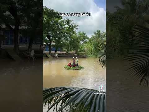 Tôi Mới Lấy Bằng Bạn Cứ Tin Tưởng Vào Tôi Đi 🤣 #nhacdienturemix #musicapp #music #tamtrang