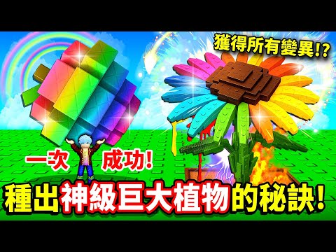 我一次用神秘方法種出超巨大彩虹釋迦🌈還爆出稀有變異💥最後竟發現十幾種特效疊加的神級花朵🔥太珍貴只敢藏私服！【培養花園】【至尊星】