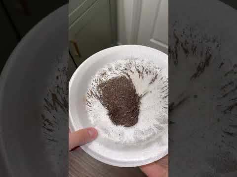 magnetic sweeper
