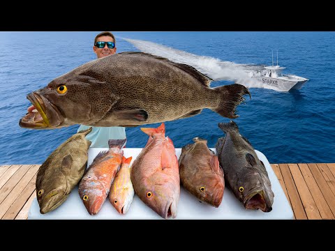 70 Miles OFFSHORE in America's BEST Fishery! Catch Clean Cook (Scamp Grouper)