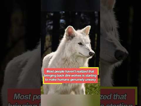 Most people haven’t realized that bringing back dire wolves is starting to make humans genuinely
