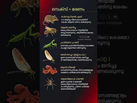 ജീവൻ നൽകി പ്രാണനേകുന്നവർ ✨🙏🐝🦠