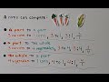 Exploring Ratios: Representation and Writing Techniques