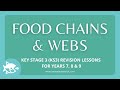 Food Web and Energy Flow Concepts