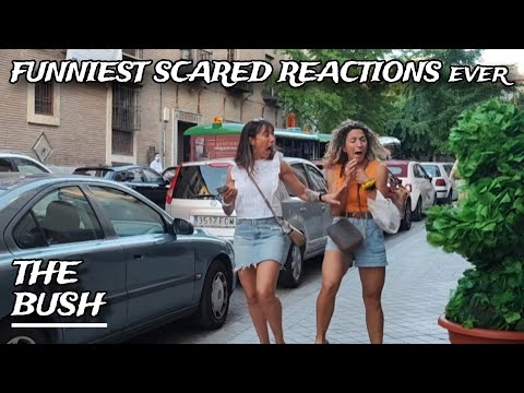 The Bush 1x23 | LAUGH Till You Cry at These SCARE REACTIONS!