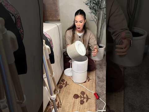 Filter Maintenance #voiceover #cleaningmotivation #cleanwithme #airpurifiers #cleaning #levoit